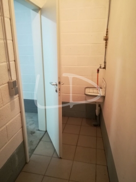 Box Cave Howald 03.jpg